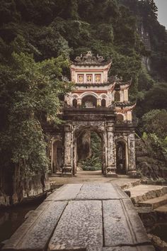 an old gate in the middle of a forest