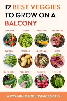 the best veggies to grow on a balcony are in this postcard, which shows