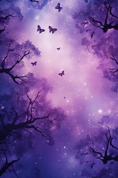 the sky is filled with lots of purple butterflies