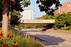 the sign for illinois state university hangs over an empty street