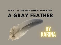 a feather flying through the air next to a gray background with text that reads, what it means when you find a grey father