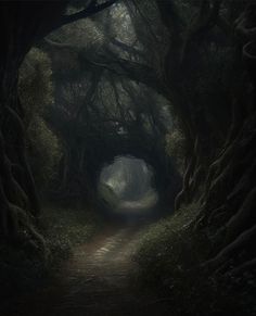 an image of a dark forest with trees on either side and light at the end