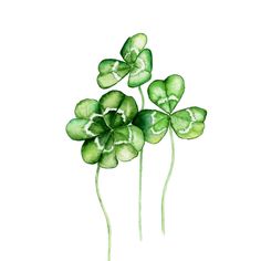 three green clovers with long stems sticking out of the top, and one has four leaves