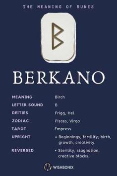 berkanoo the meaning of tunes - screenshote for windows and mac