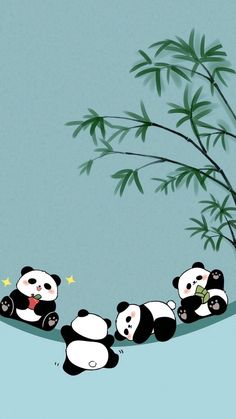 three pandas are laying on the ground next to a bamboo tree and one is eating