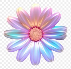 a pink and blue flower on a transparent background