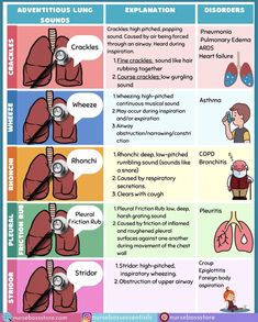 the stages of breathing and how they can help you get through this info - chart