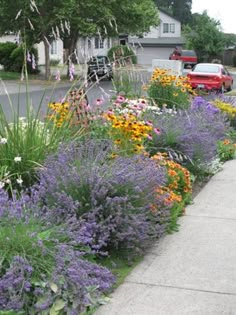 a bunch of flowers that are by the side of the road with cars in the background