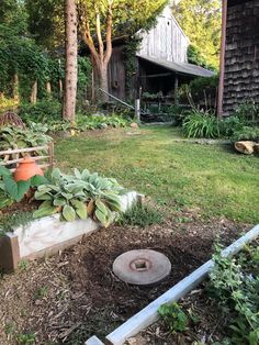 the garden is full of flowers and plants