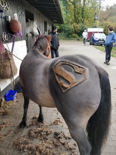 a horse that is standing in front of a building with a superman patch on it's back