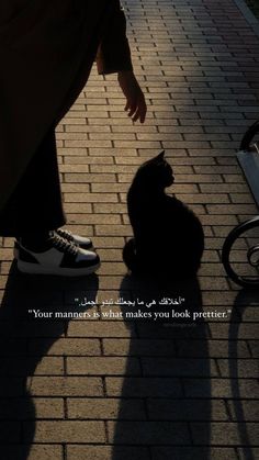 a black cat sitting on top of a sidewalk next to a person's shadow