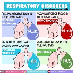 the four stages of respiratory dissors