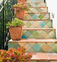 some potted plants are sitting on the steps