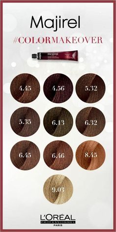 Loreal Hair Color Brown, French Brown Hair, Hair Color Makeover, Brunette Hair Color Shades, Hair Chart, Front Layers, Hair Color Inspiration