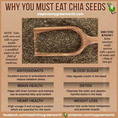 Chia Gel, Benefits Of Chia Seeds, Benefits Of Chia, Makeup Tip, Resep Diet, Healing Food