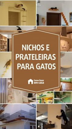 a collage of photos with the words nicos e prateiras para gatos