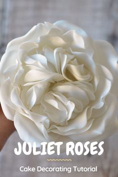 a hand holding a large white flower with the words joliet roses on it