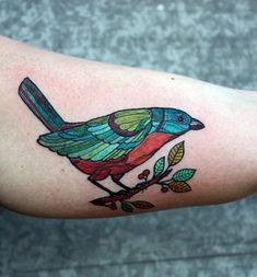 a colorful bird sitting on top of a branch with leaves around it's legs