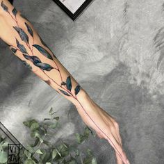 a woman's arm with leaves on it and a red line going through the leg