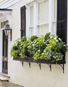 a window box filled with green plants next to a white building and black shutters