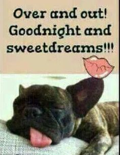 a dog laying on top of a bed with its tongue hanging out and the words goodnight and sweet dreams above it