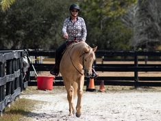 a woman riding on the back of a brown horse next to a wooden fence and trees