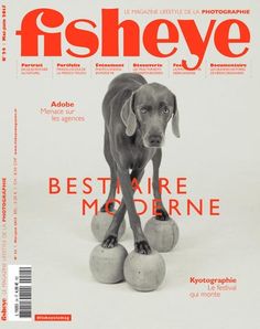 a magazine cover with a dog standing on top of three balls in front of it