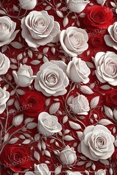 red and white roses on a red background