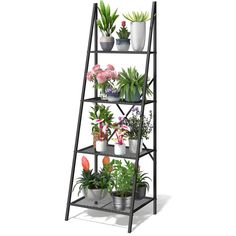 a black metal shelf filled with potted plants