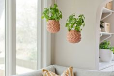 two potted plants hanging from the ceiling in a living room next to a window