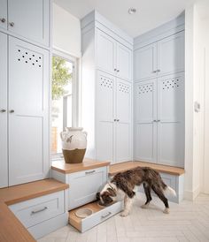 a dog is eating out of a drawer in the middle of a room with white cabinets