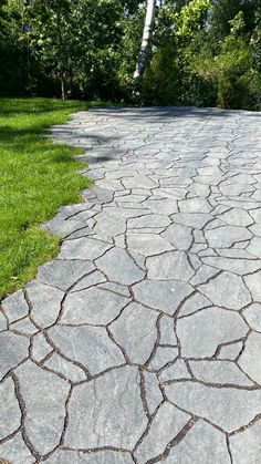 a stone walkway with grass and trees in the background