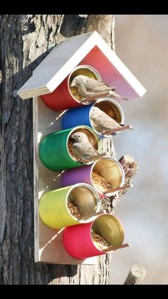 a bird house that is hanging on the side of a tree with birds in it