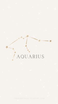 the zodiac sign aquarius on a white background with gold stars and snow flakes