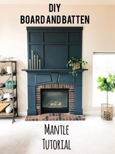 a living room with a fire place and shelves on the wall, along with a potted plant