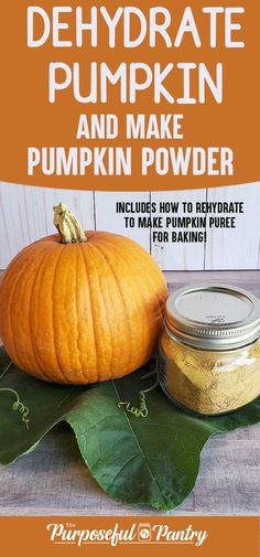 a pumpkin sitting on top of a green leaf next to a jar of pumpkin powder