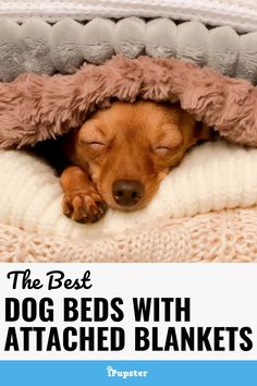 the best dog beds with attached blankets