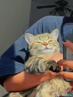 a person holding a cat in their arms and taking a picture with a cell phone