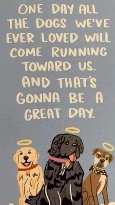 two dogs with angel halos on their heads and the words, one day all the dogs we've ever loved will come running toward us and that's gonna be a great day