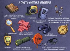 an image of a bunch of items that are labeled in the words crypt hunters essentials