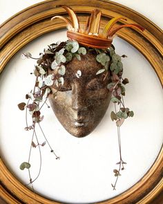 a wooden frame holding a mask with plants growing out of it's face in front of a white wall