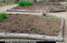 the garden is ready to be planted and put into the ground for landscaping purposes, as well as other plants