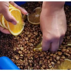 two hands picking up slices of an orange from a pile of nuts and lemons