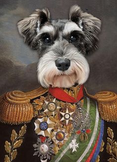 Schnauzer Art, Image Chat, Schnauzer Dogs, Mini Schnauzer, Pet Dress, Animals Artwork, Vintage Glam