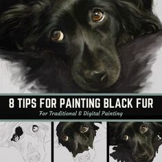 a black dog's face is shown with the words 8 tips for painting black fur