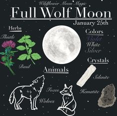 the full wolf moon is shown in this poster