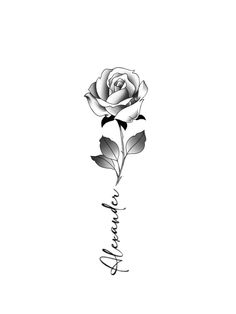 a black and white drawing of a rose with the word love written in cursive writing