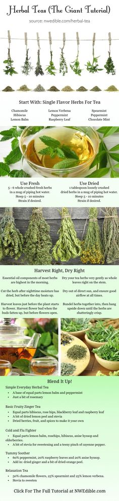 an info sheet describing the different types of herbs and how they are used to make them