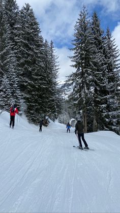 three people skiing down a snow covered slope with trees in the backgrouds