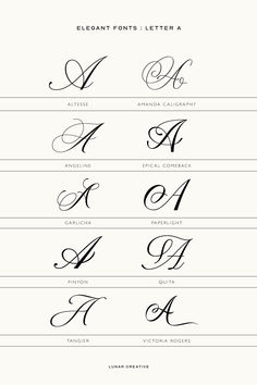 the different types of calligraphy are shown in this font file, which is also used for